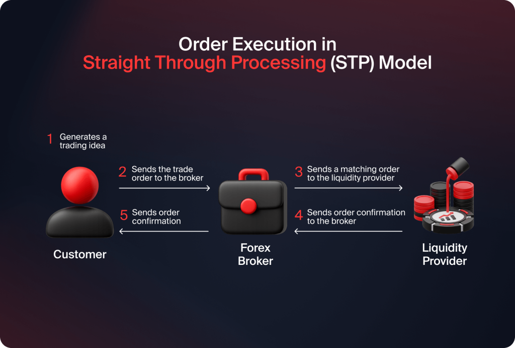 STP Model